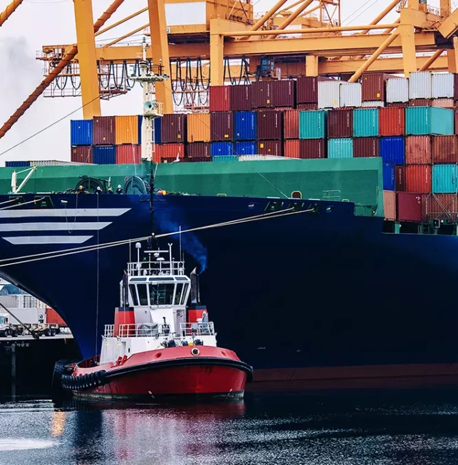 experto-univercitario-transporte-maritimo-puertos